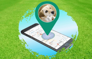 Los Mejores Aplicativos para Rastrear a tu Mascota