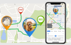 Rastrea a tu Mascota con Aplicaciones Gratuitas