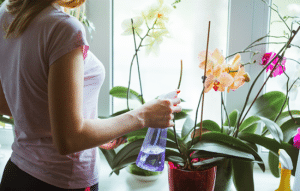 Las Mejores Aplicaciones para Cuidar de tus Orquídeas y Plantas