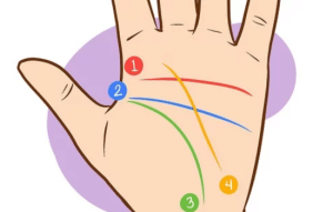 Apps para Leer la Mano: Descubre Tu Futuro