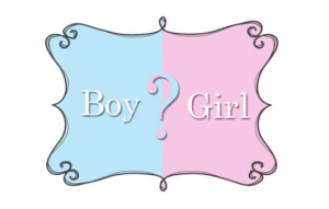 Aplicaciones para Descubrir el Sexo del Bebé