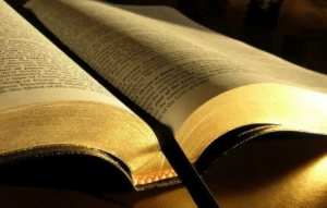 Lee la Biblia en un Año con una App