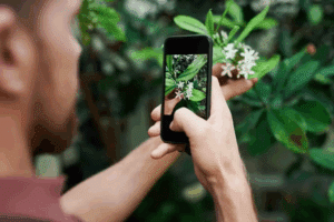 PlantApp: Tu aliado en jardinería feliz