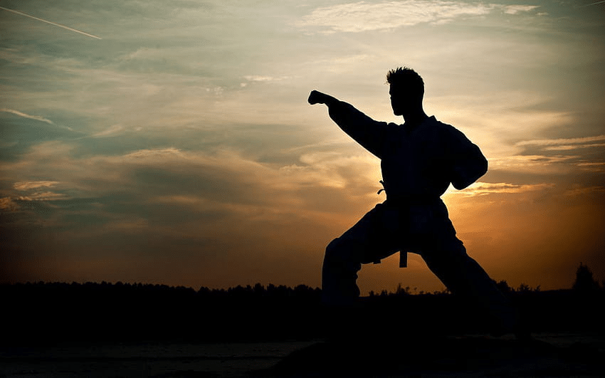 Domina karate con nuestra app exclusiva!
