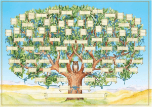 Descubre tu linaje con la app de genealogía