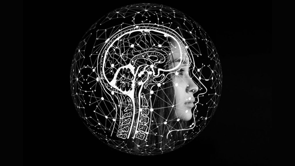 Desafía tu mente con nuestro divertido Test de QI